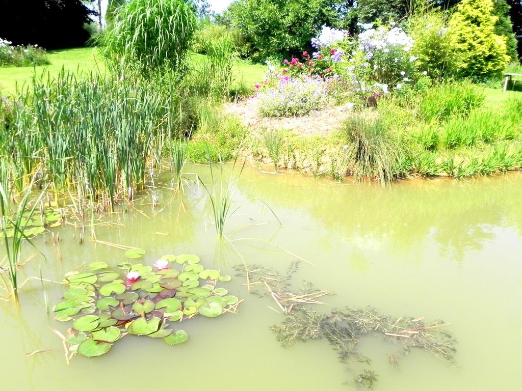 Les Charmilles Bed & Breakfast Hazebrouck Exterior foto