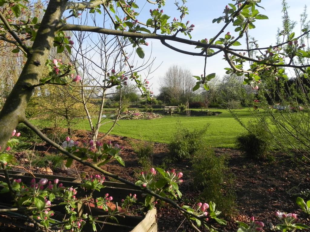 Les Charmilles Bed & Breakfast Hazebrouck Exterior foto